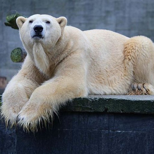 Aalborg Zoo