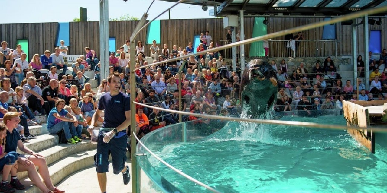 The Bergen Aquarium has more than 50 different aquariums