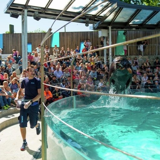 The Bergen Aquarium 