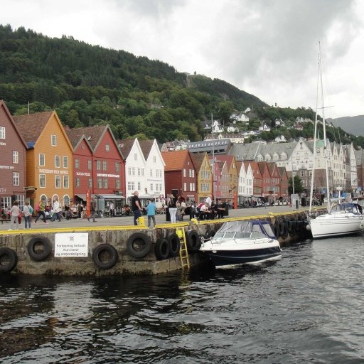 Norway in a nutshell® tour from Bergen