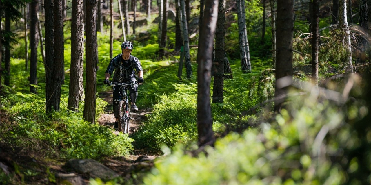 Discover Western Sweden through activities