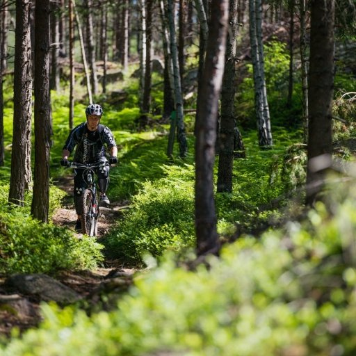 Biking