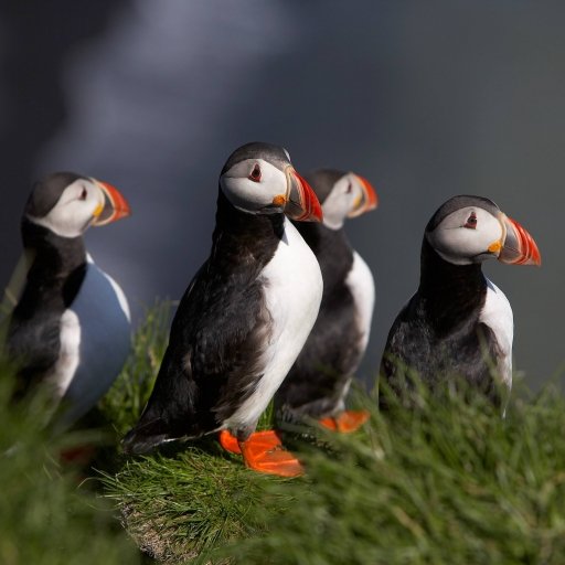 Reasons to Visit Iceland