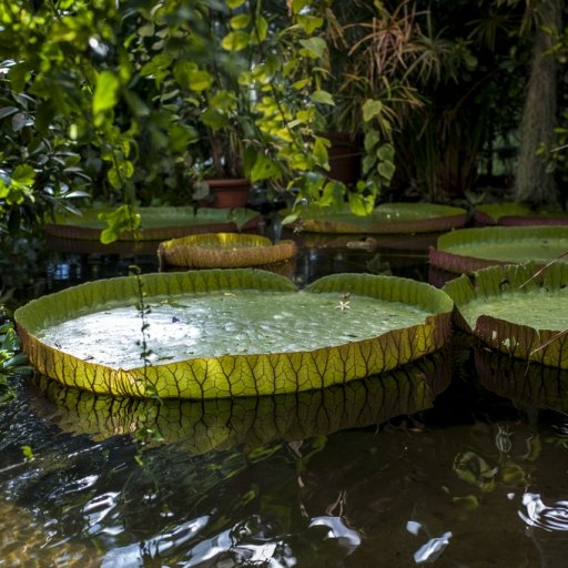 Botanical Garden in Oslo