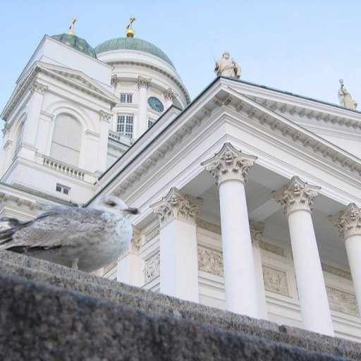 The Senate Square