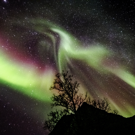 Auroratour with Camera Hire