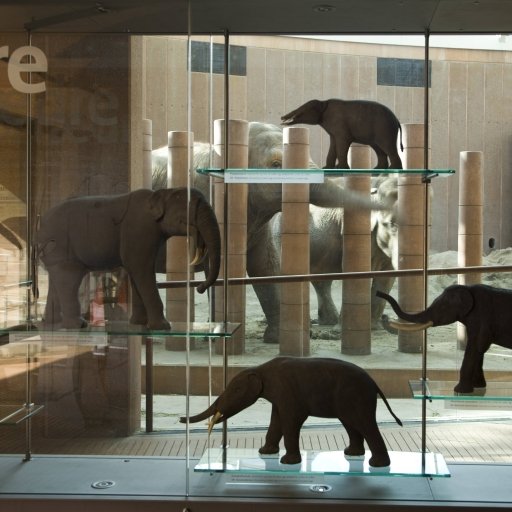 Copenhagen Zoo 