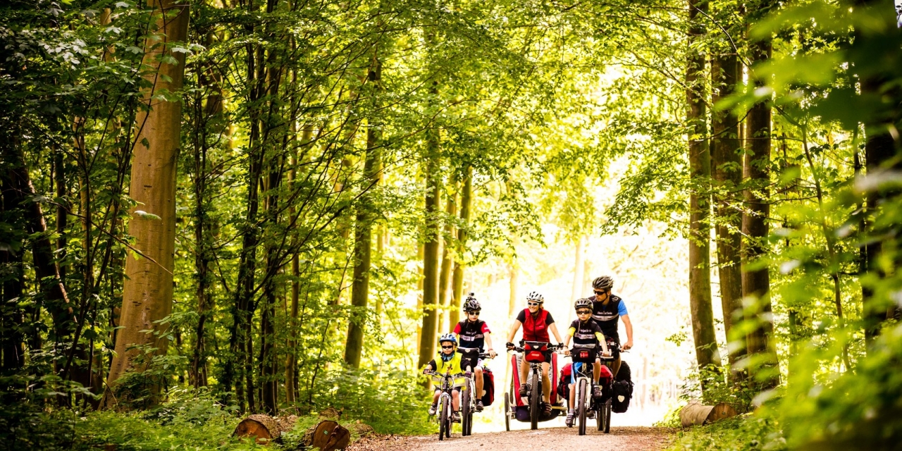 The Marguerite Nature  Route in Denmark is where you discover the beauty of Denmark