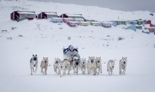 Try Dog sledding - a unique nordic experience