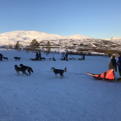 Tromsø Villmarkssenter