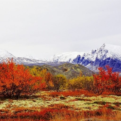 Late Summer by the Norwegian Fjords