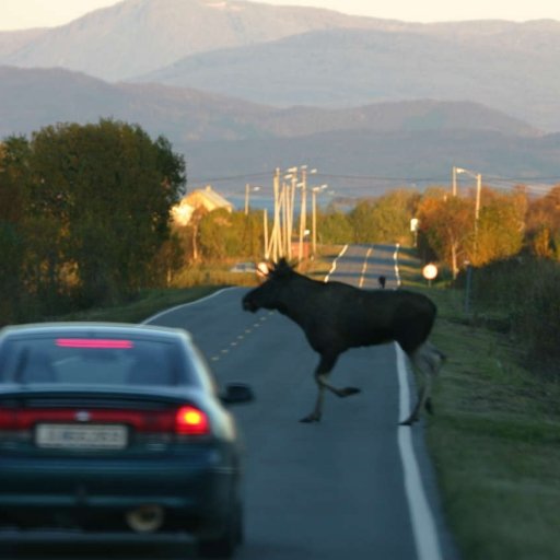 Driving in Norway
