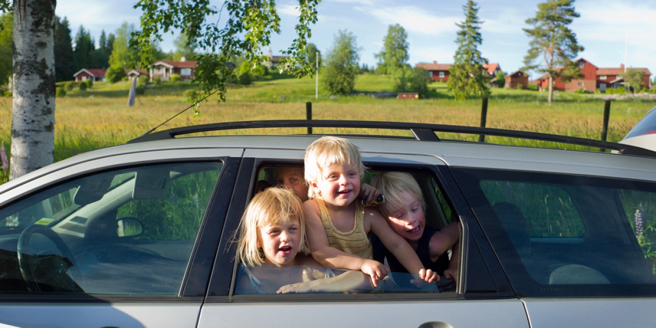 Discover Sweden on a road trip
