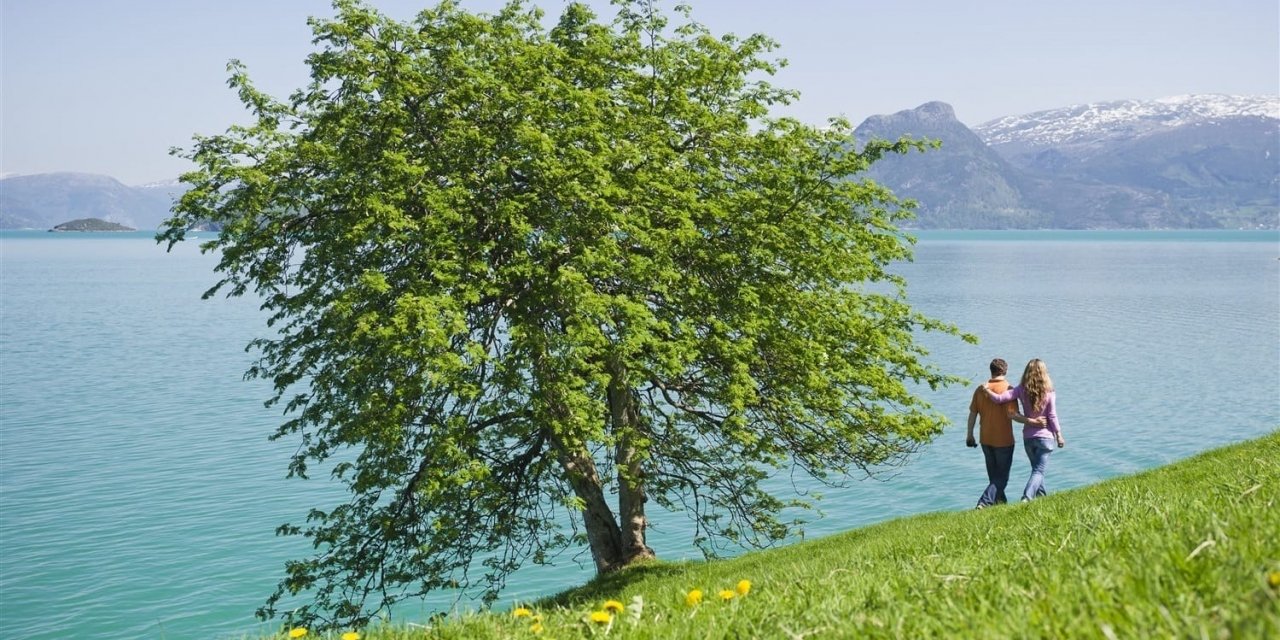 On this trip you visit the Nordic capitals and the famous Norway Fjords