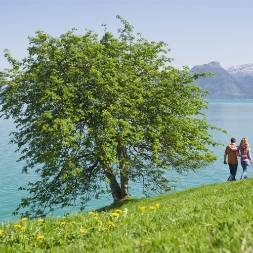 Classic Nordic Tour Inspiration