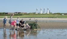 Esbjerg offers many kinds of nature experiences