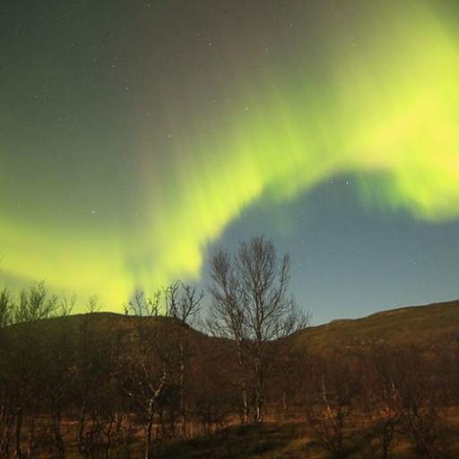 Arctic Northern Lights Tour