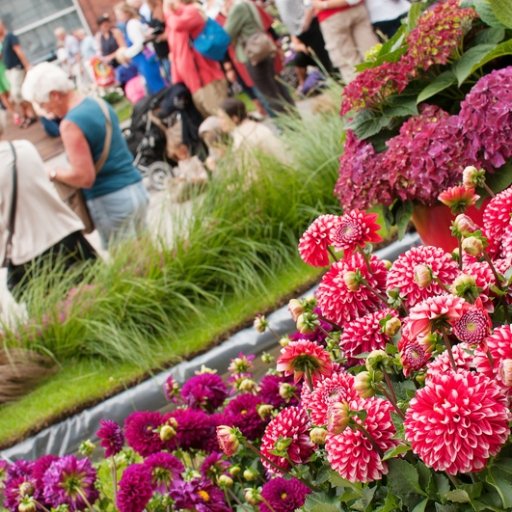Odense Flower Festival 