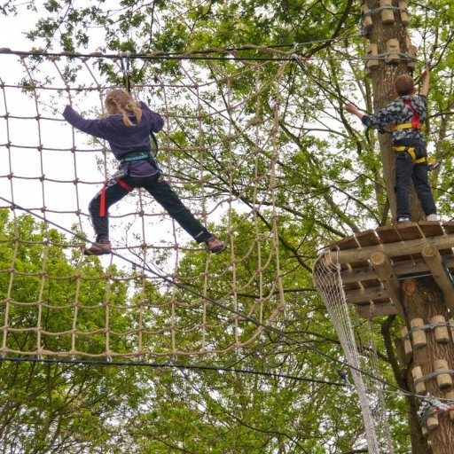 The Funky Monkey Park