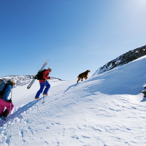 Galdhøpiggen Hiking 