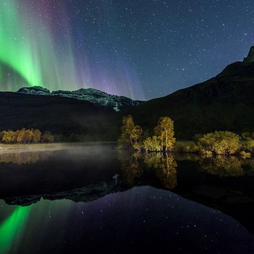 Lyngenfjord 