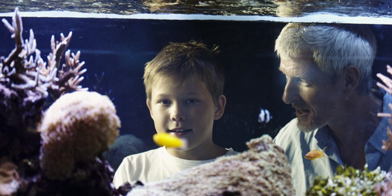 Gothenburg Maritime Aquarium & Museum