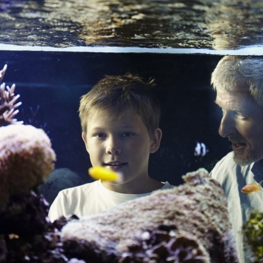 Gothenburg Maritime Aquarium & Museum