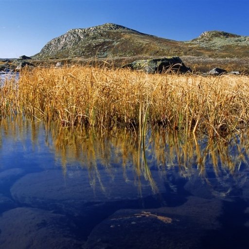 Hardangervidda National Park