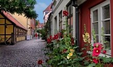Historical quarter in Odense