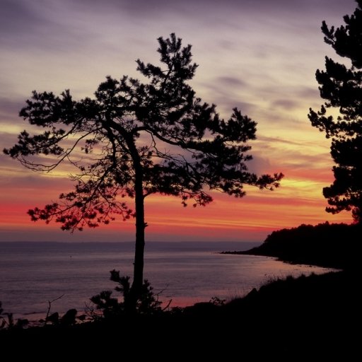 Hornbæk Beach