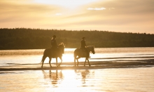 Horse Riding in Midnight Sun