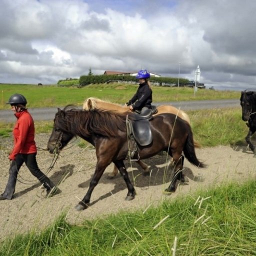 Reykjavik for kids