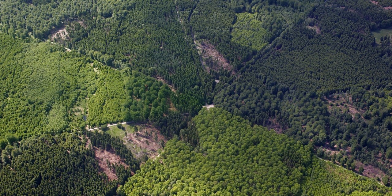 The Par force hunting landscape is a UNESCO heritage site