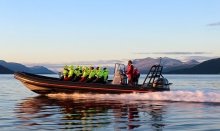 Whatever season, Tromsø offers irresistible wildlife activities