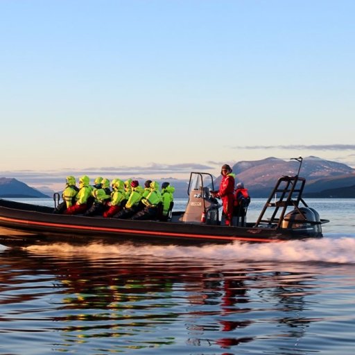 Stunning Nature and Arctic Wildlife Activities
