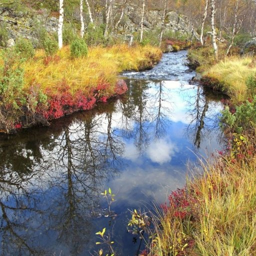 Lemmenjoki National Park 