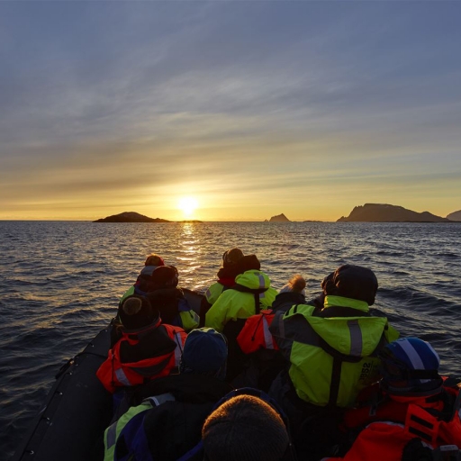 Midnight Sun photo safari by RIB boat