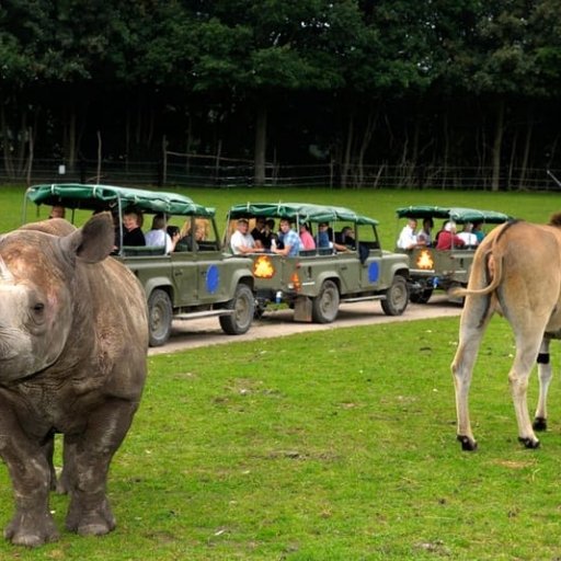 Reepark Safari 