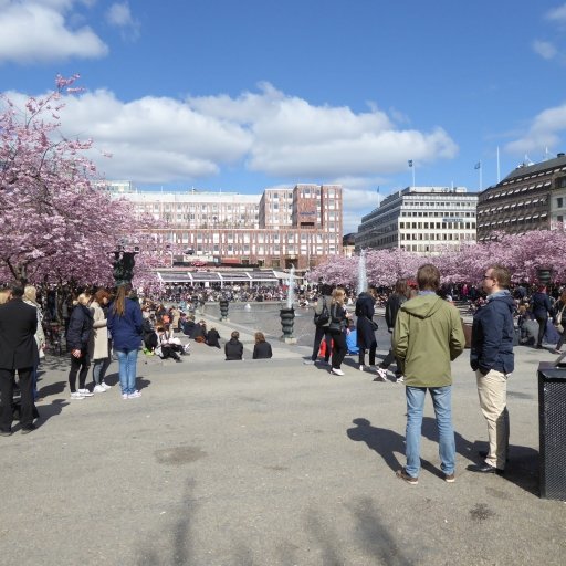 Nordic 'Hygge' & Lifestyle