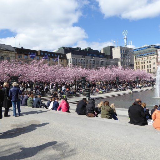 Stockholm in 24 Hours