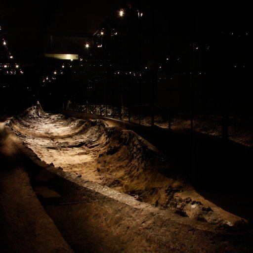 Vikingmuseum Ladby & Lindholm Høje 