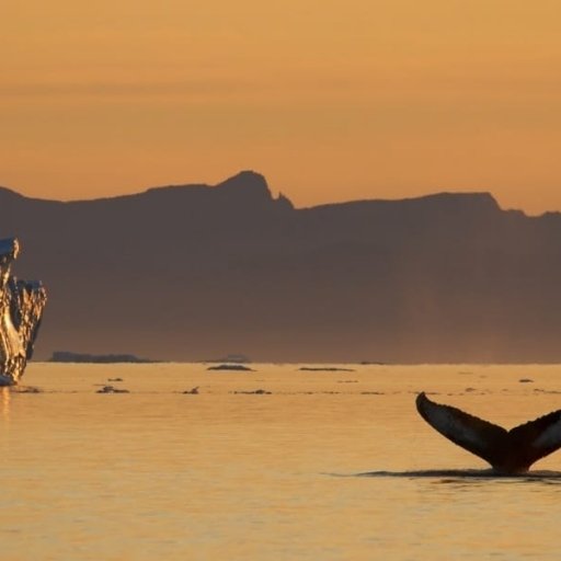 Greenland