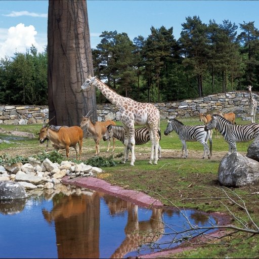 Kristiansand Zoo and Amusement Park