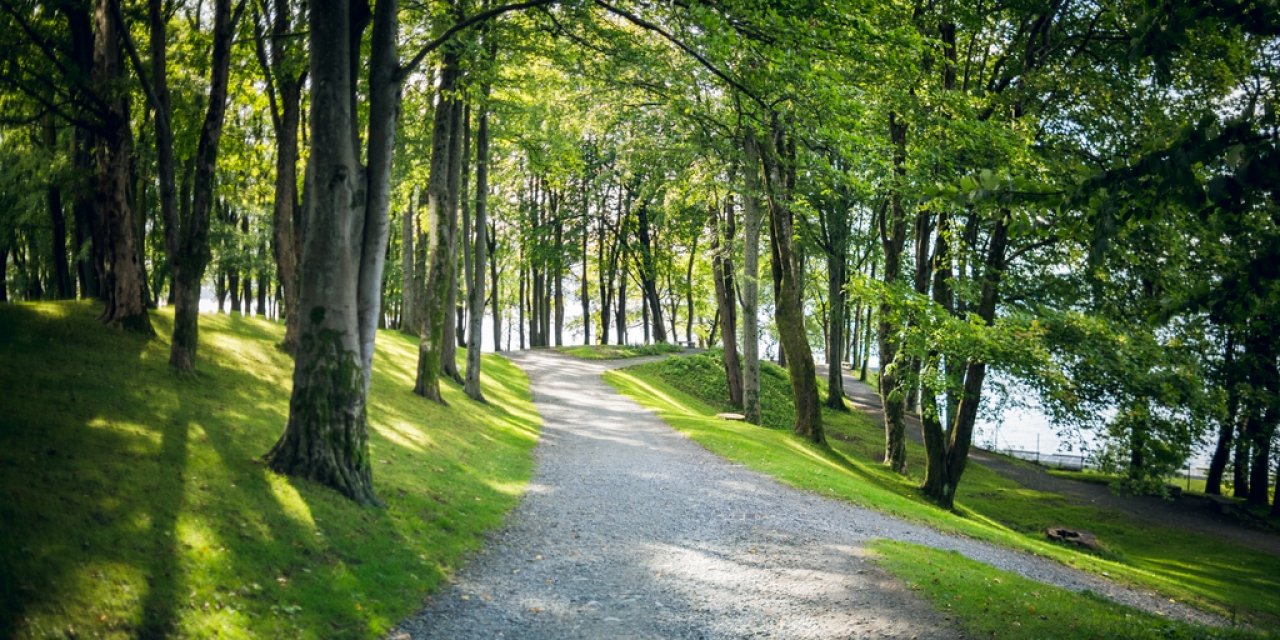 Nordnes Park