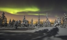 Experience the Northern Light on a special tour