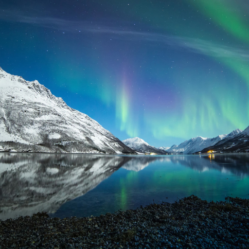 Northern light tour/local guide