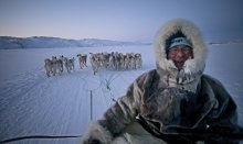 The Pioneers  is one the Big Arctic Five