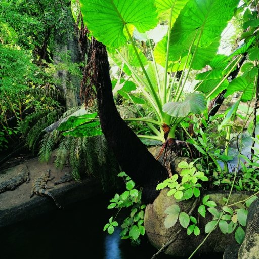 Randers Regnskov - Tropical Zoo