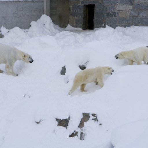 Rauna Wildlife Park