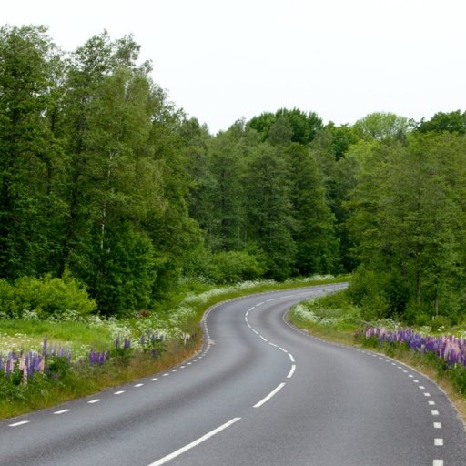 The Blue Road